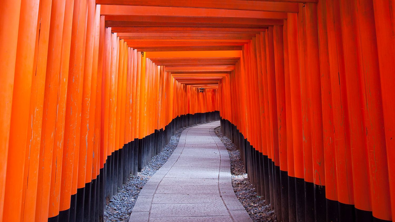 MIke Wiley Photography