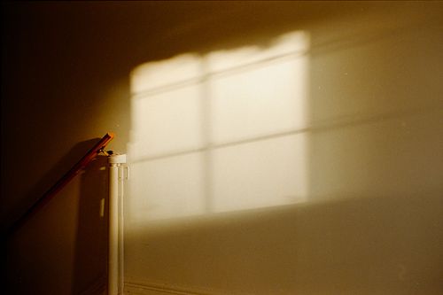 golden light coming in through window on 35mm film