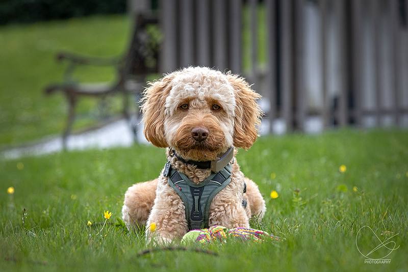 Max