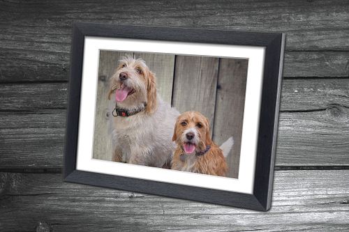 Framed Prints