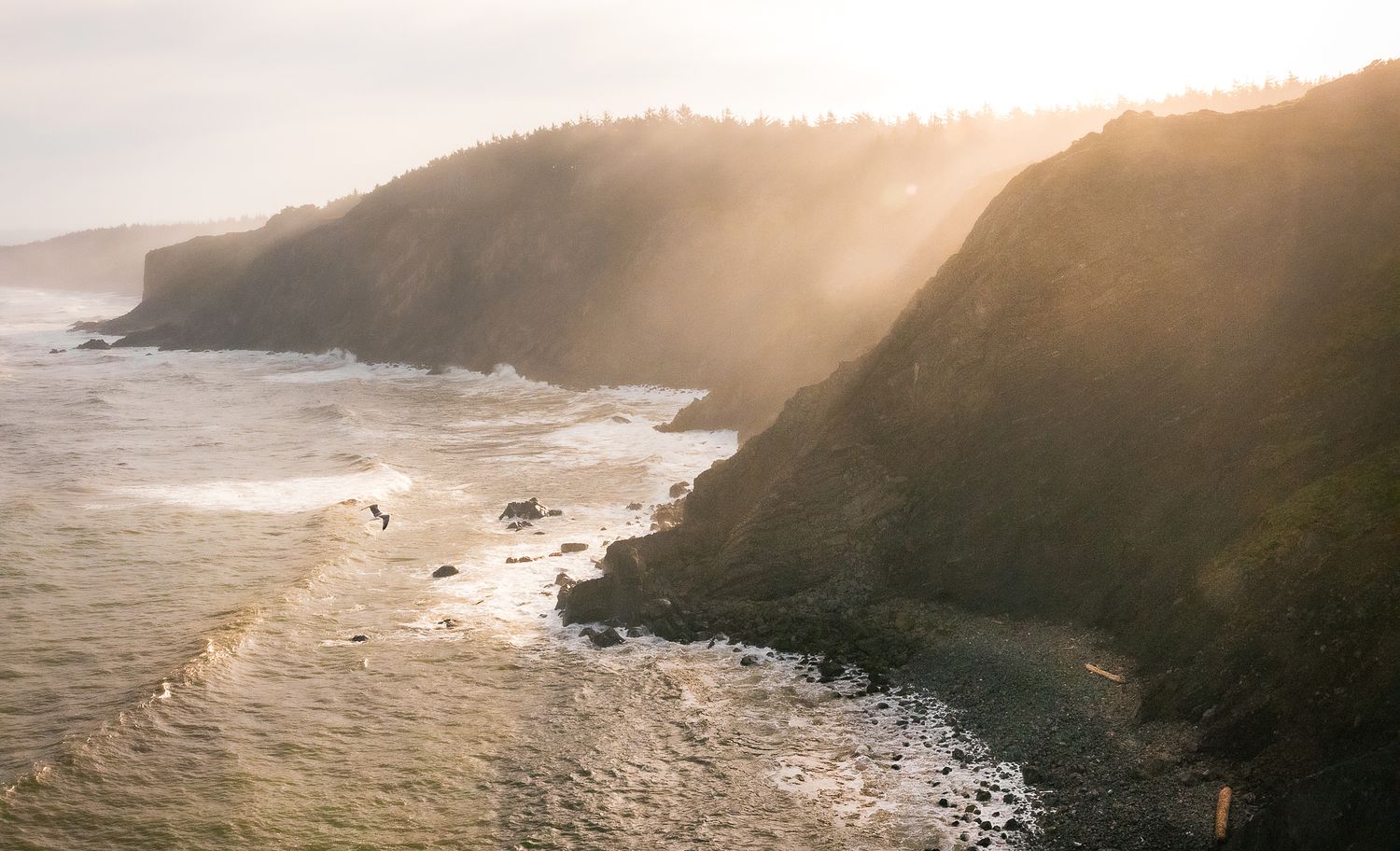 Sunlight illuminates the cliffs at Blacklock Point