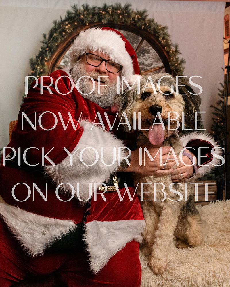 Any Dog'il Do - Santa Paws 2025