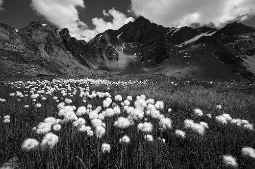 Oberengadiner Landschaft