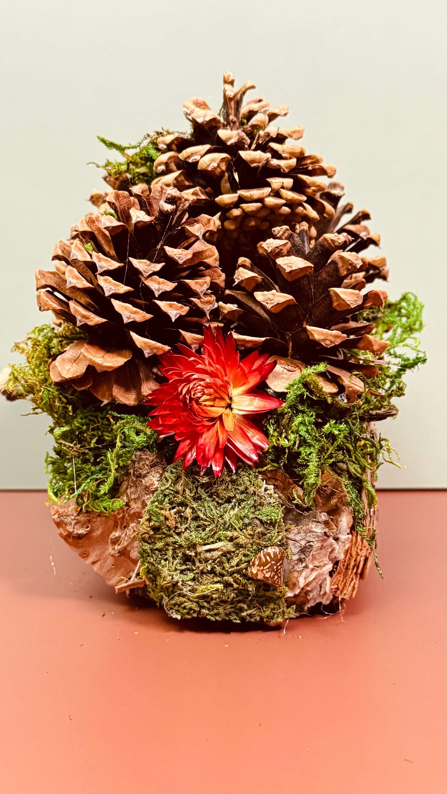 Linda Park Photography