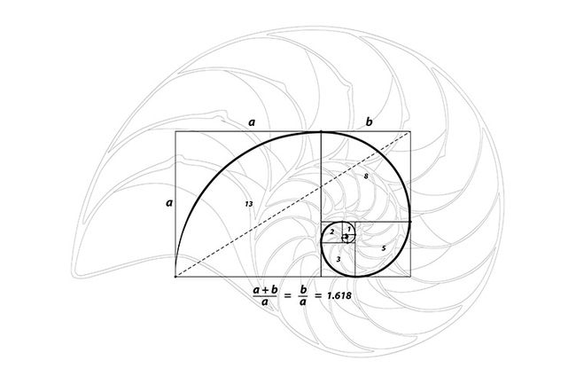 Golden Ratio