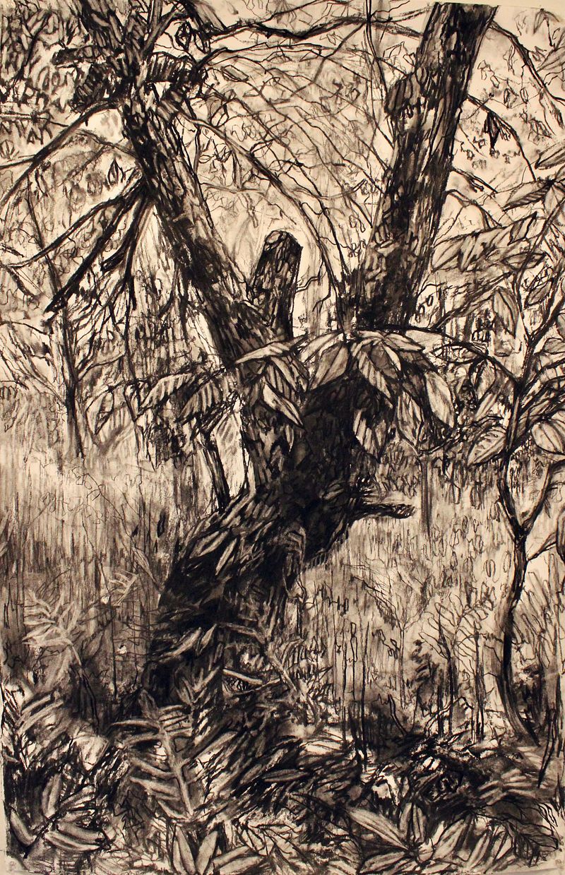 along our path: spring