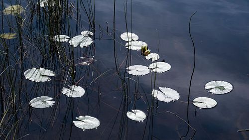 Weitblick vom Chasseral