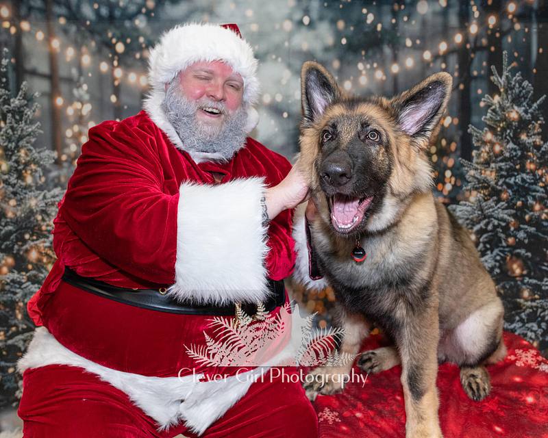 Any Dog'il Do - Santa Paws at Pets At Home Corstorphine