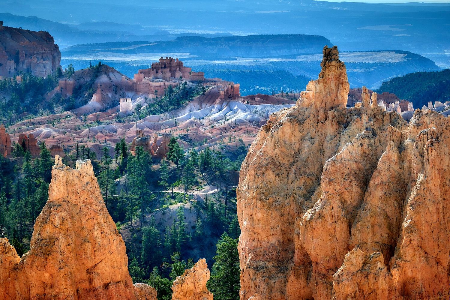 Thomas Upton Photography