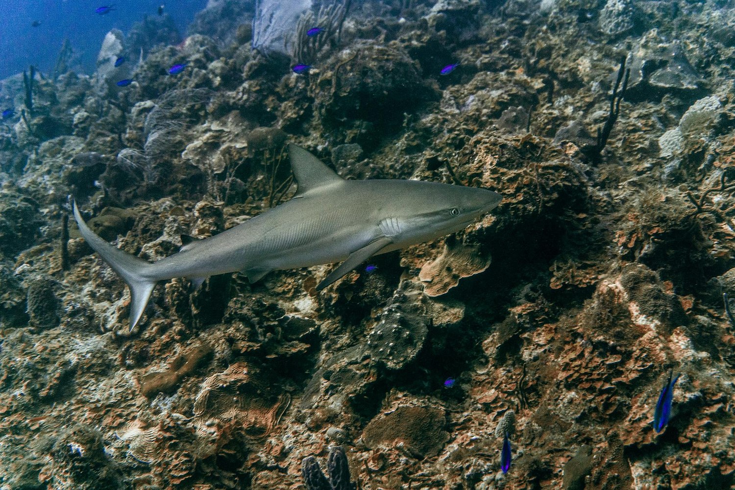 USVI.Photos
