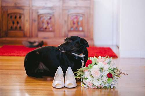 Bride Getting Ready