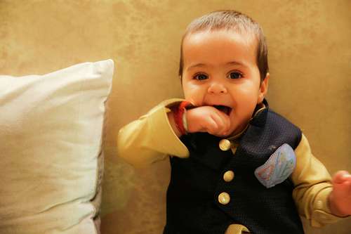 Pradeepkphotography@gmail.com