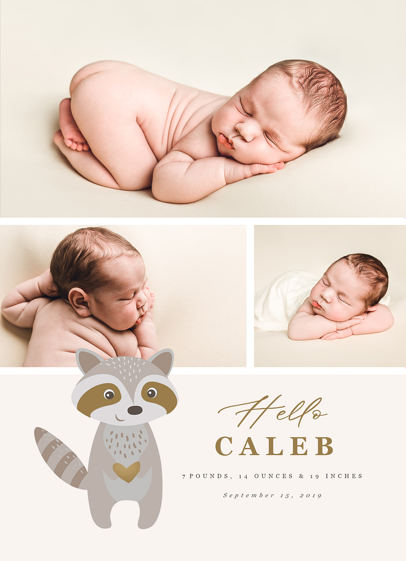 Birth Announcement