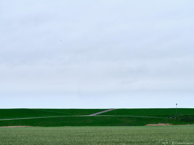 The Next Step (20 - 22 november 2026)