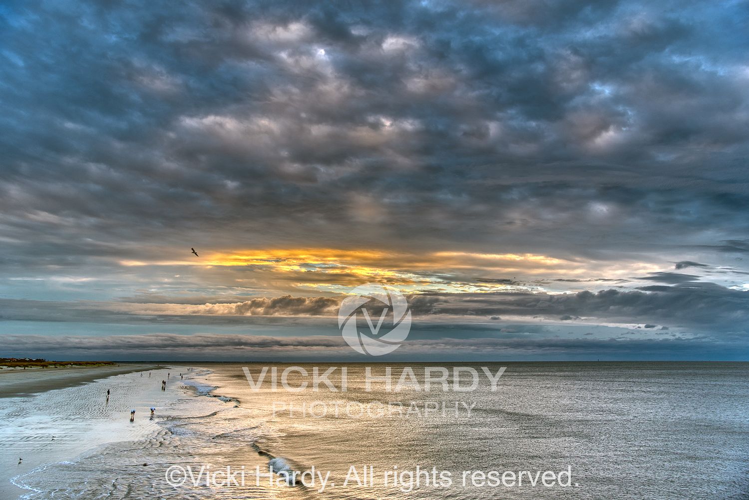 Vicki Hardy Photography Landscapes