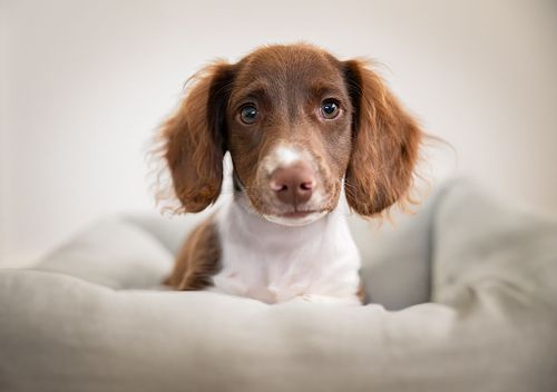 Endless Possibilities