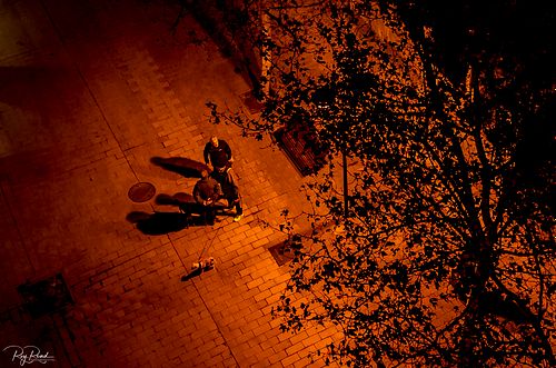 Under the Neon Light ... Zaragoza