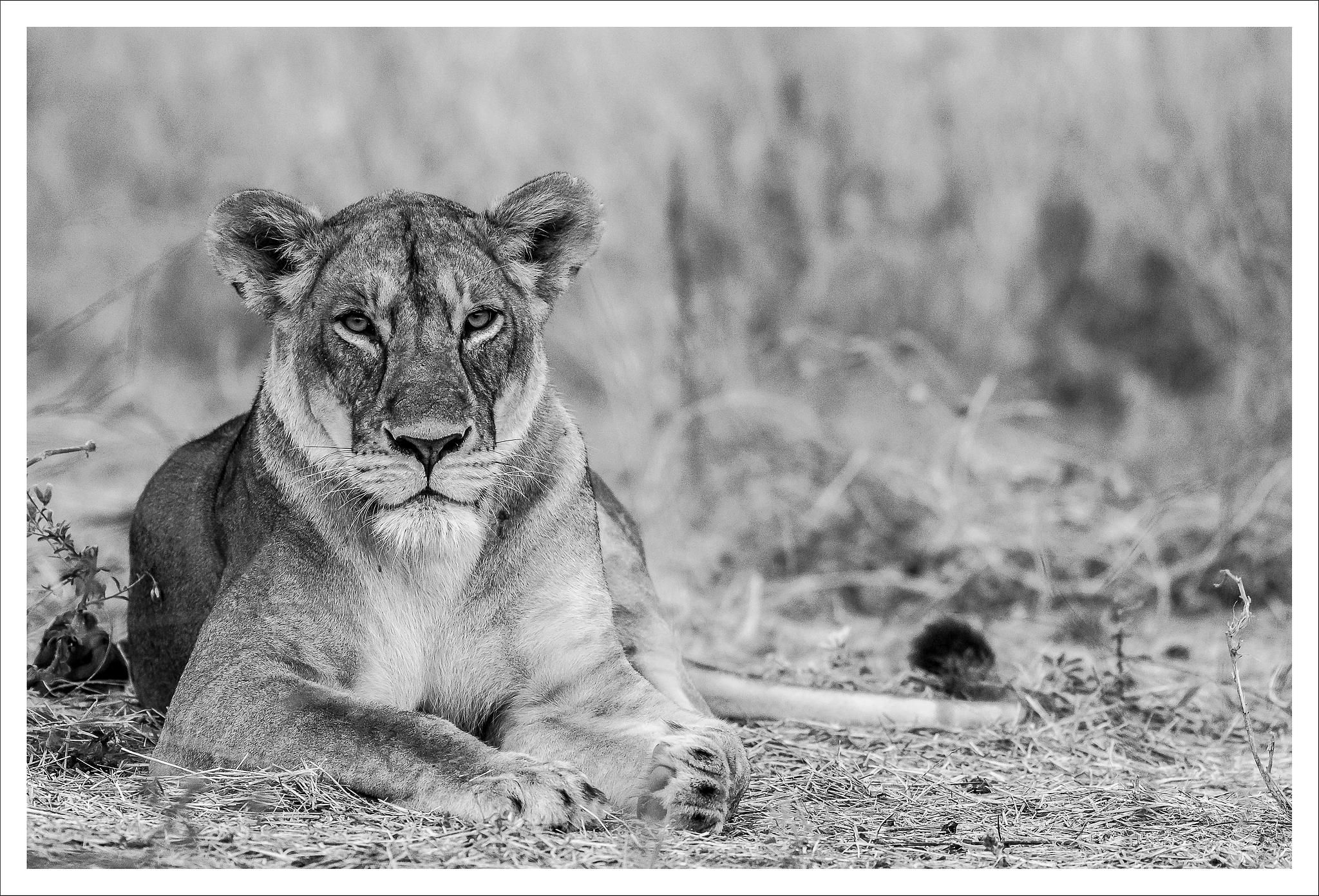 Nitin Madhav Photography