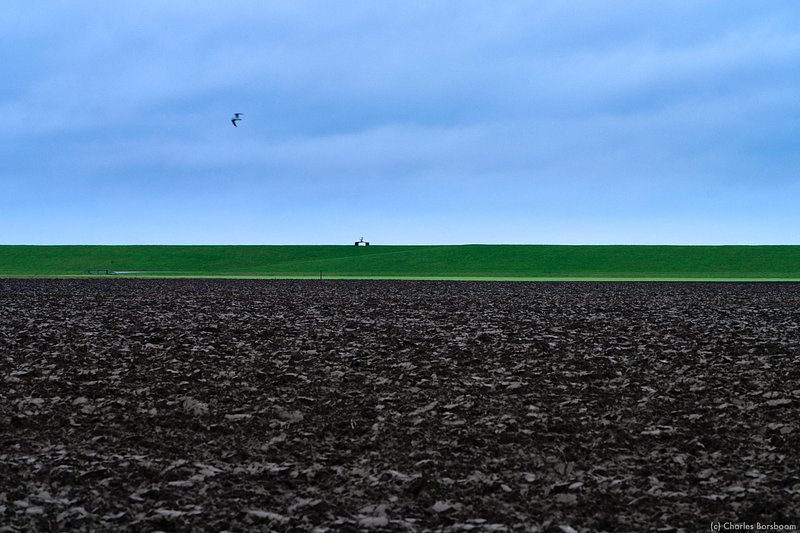 The Next Step (20 - 22 november 2026)