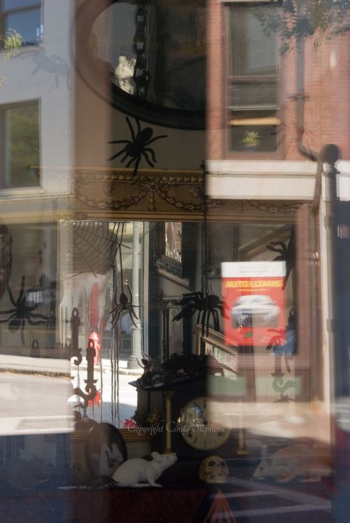 Lowell Massachusetts Halloween reflection, spiders on furniture, skull, street scene, Halloween decor.