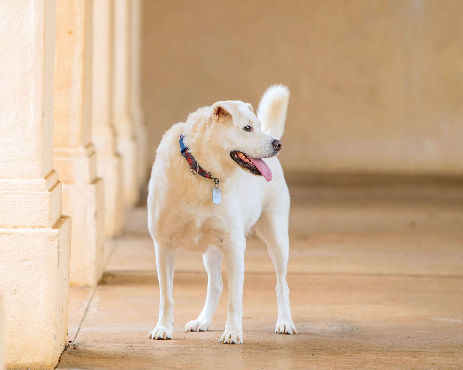 Gretchen Otero Photography