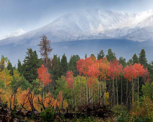 Colorado Fall Landscape Collection