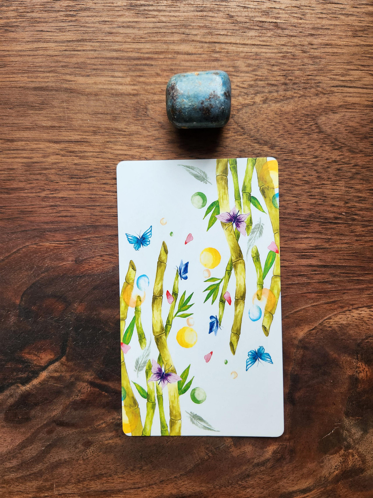 Way of the Panda Tarot Card and Ruby Kyanite