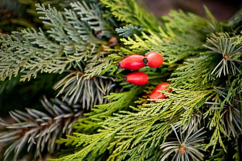 Adventskranzen kath. Pfarrei Burgdorf