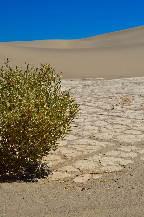 7 foot photographer, workshop tour in US, United States, death valley national park, ca