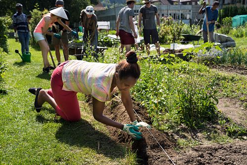 Swisscom-Einsatz im Heks- Garten