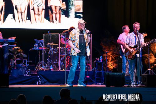 The Beach Boys