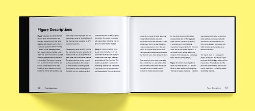 Double-page spread featuring several detailed accessible figure descriptions.