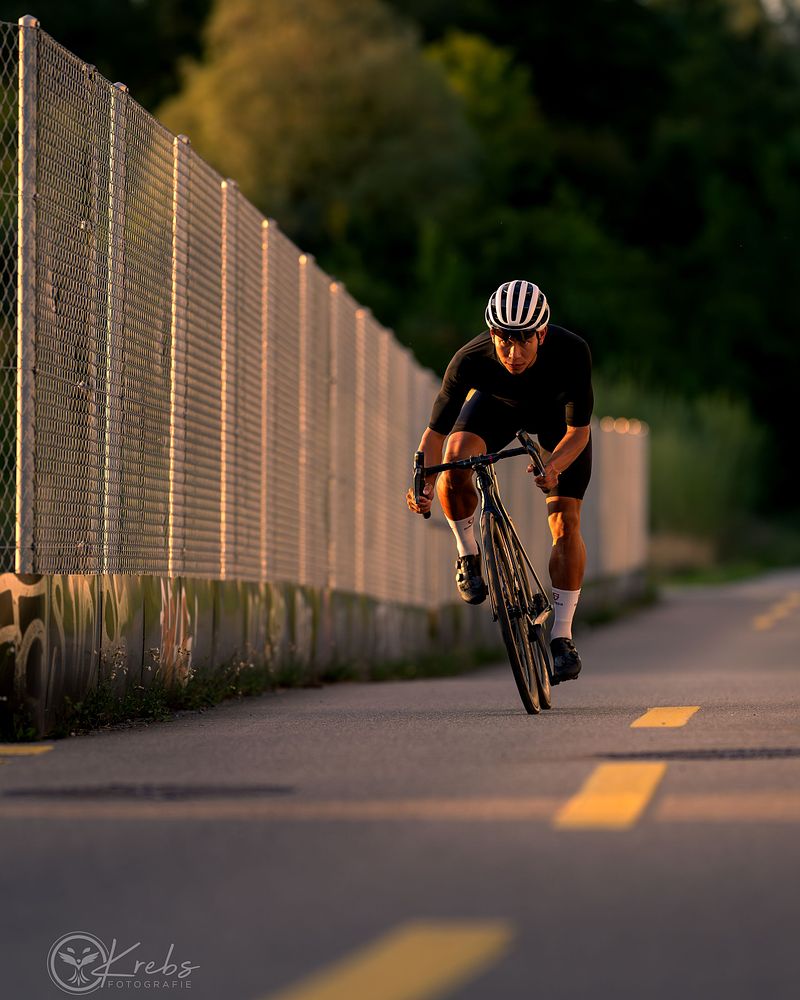 Webseiten-Shooting Gross