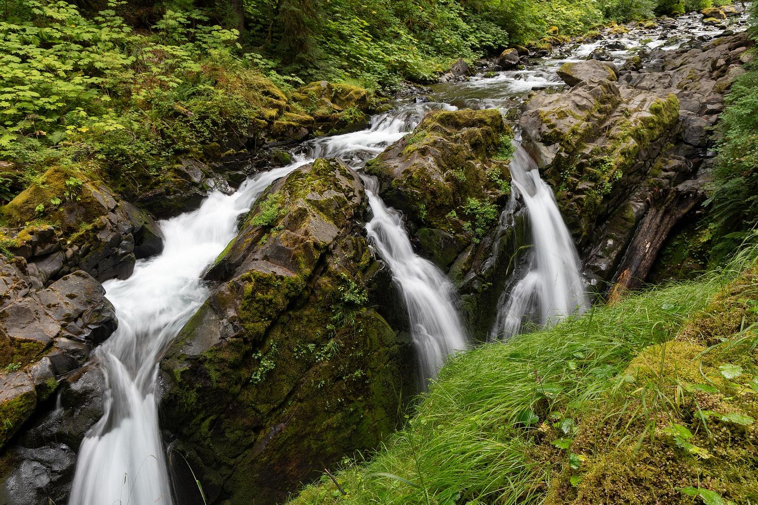 Noah Conzetti Photography