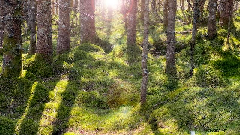 Ute på oppdrag 19. mai