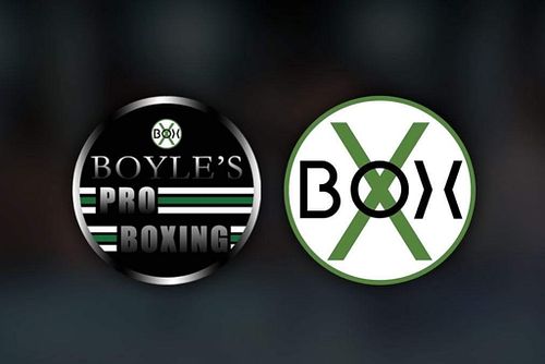Boyles PRO Boxing