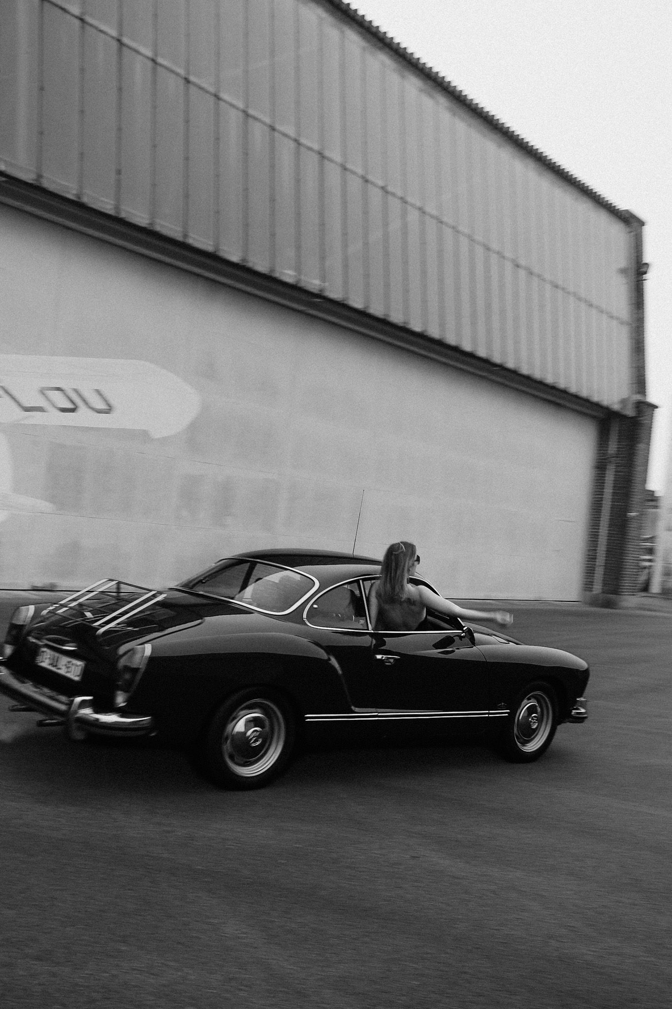 un Fauve qui capture photography