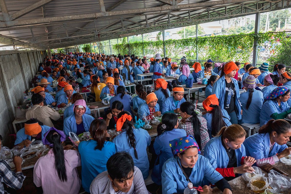 Die textile Revolution von oben
