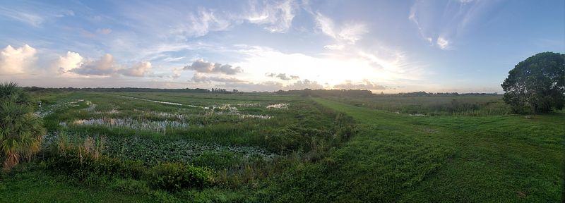 Finding Calm in Words & Wild Places