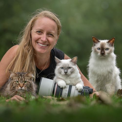 Huisdierenfotograaf Noord Holland
