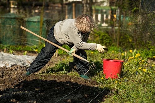 Im  HEKS-Garten Burgdorf