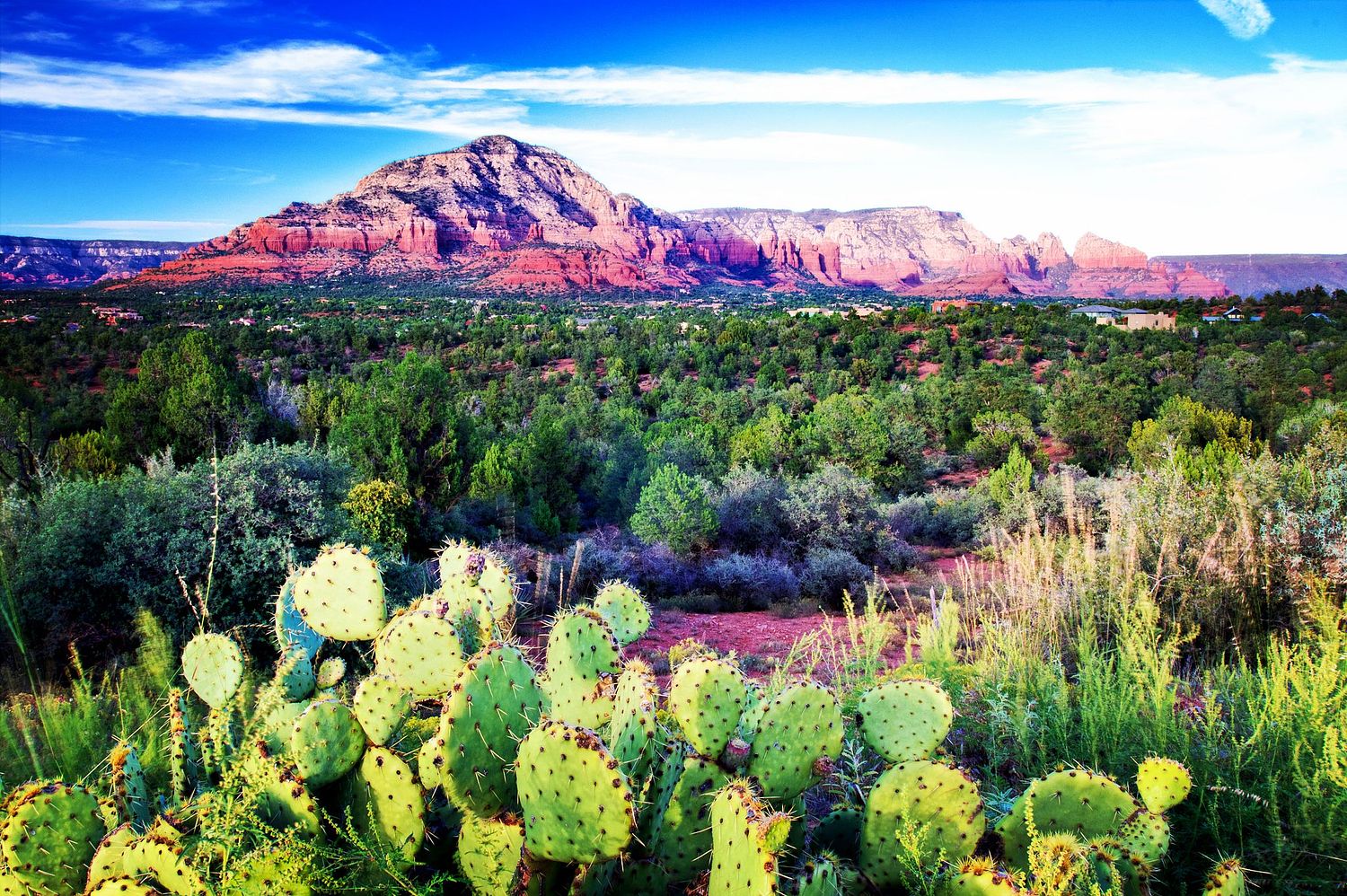 Snehansu Roy Photography