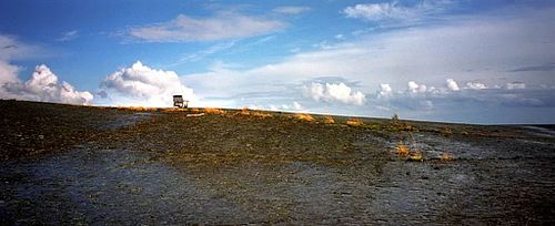 An exclusive creative homestay on a small island somewhere in the Baltic sea. And yes you can catch wild sea trout and salmon from it!
