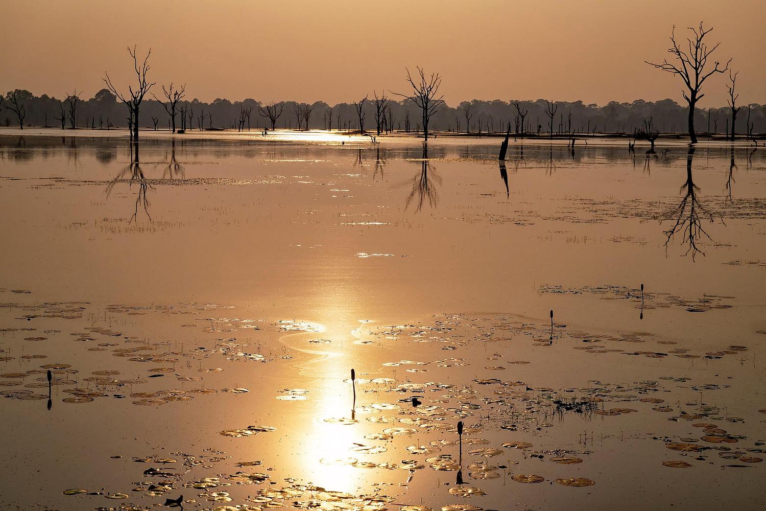 Thierry DEZ - Photographe