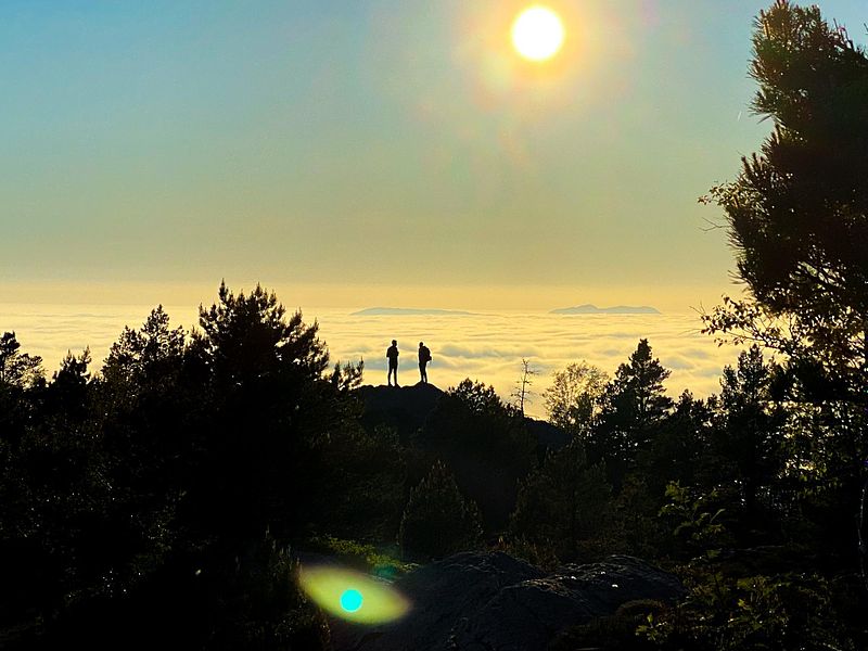 På oppdrag mellom 13:30 og 14:30