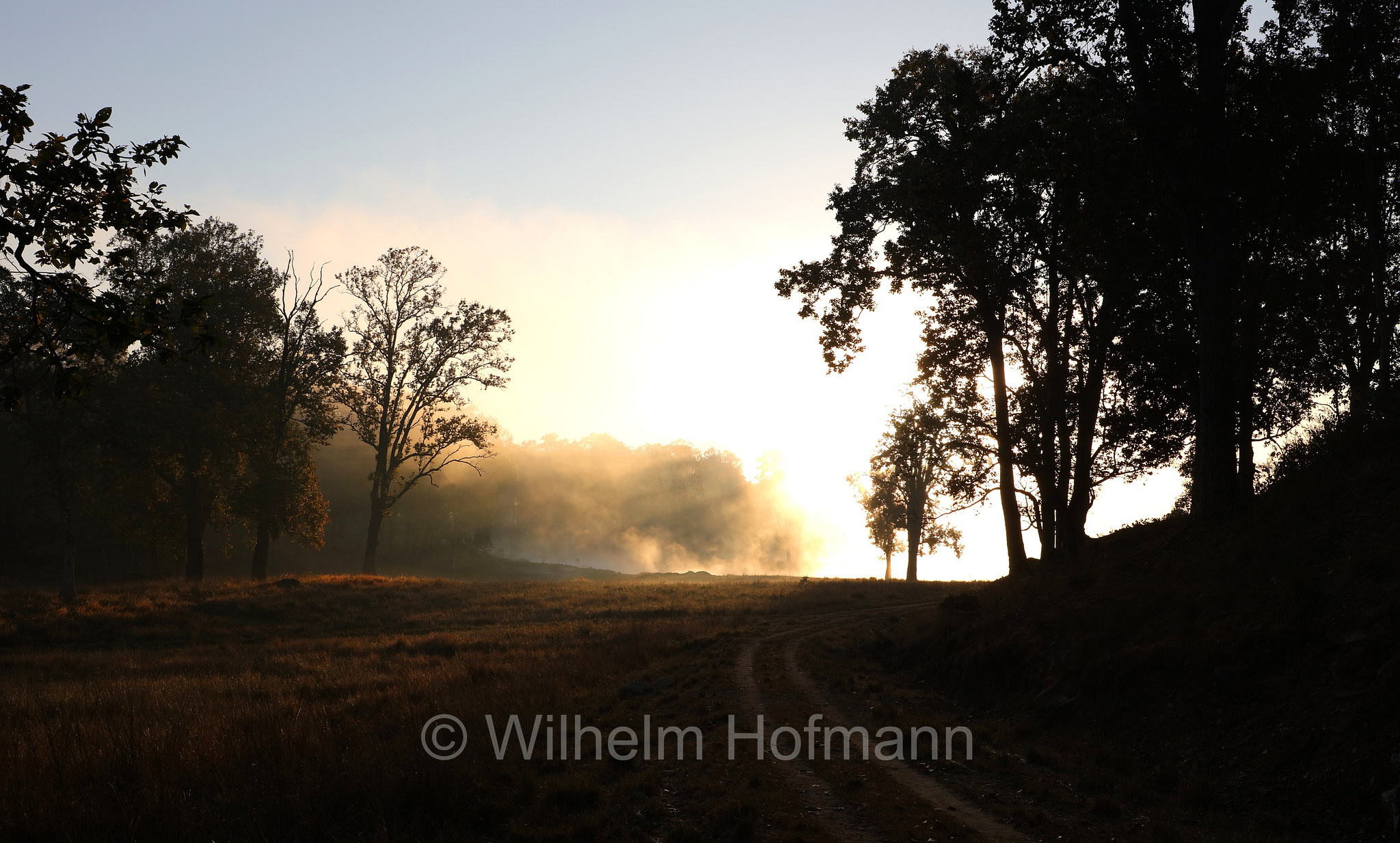 Kanha Tiger Reserve, Kanha–Kisli National Park, Kanha National Park, Kanha-Nationalpark, parco nazionale di Kanha, Madhya Pradesh, India, Indien