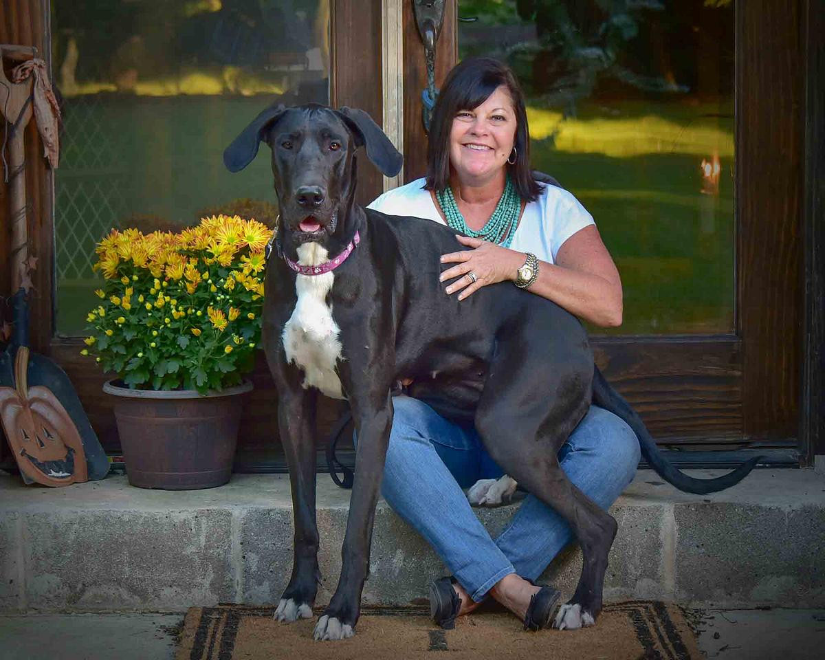 Great Dane Photographer