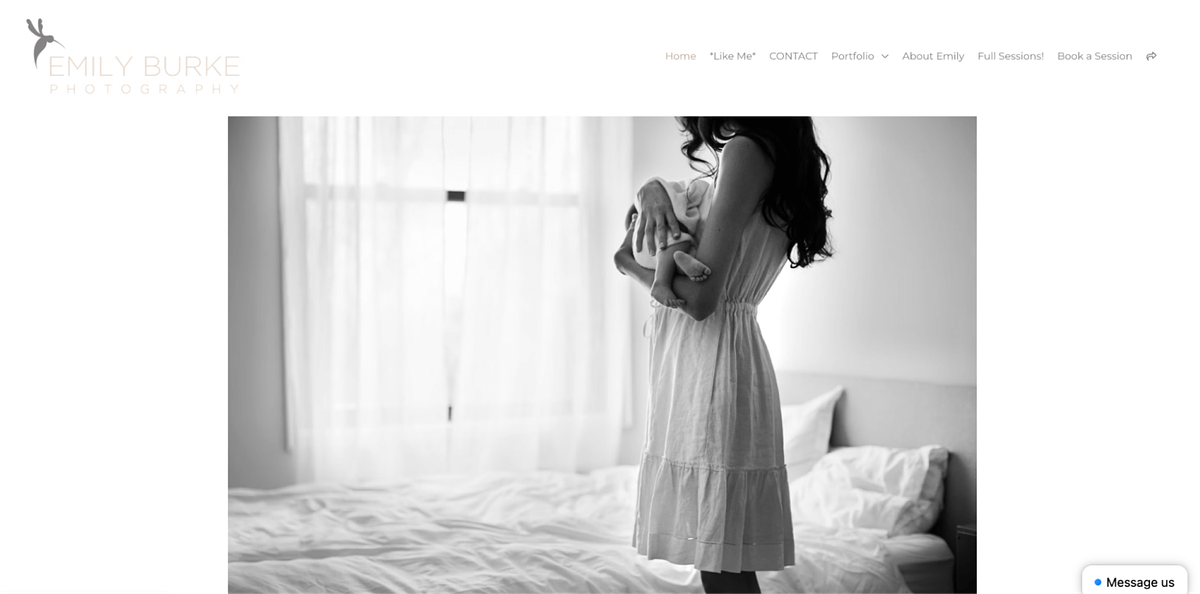 Site Web du portfolio en ligne du nouveau-né d'Emily Burkes