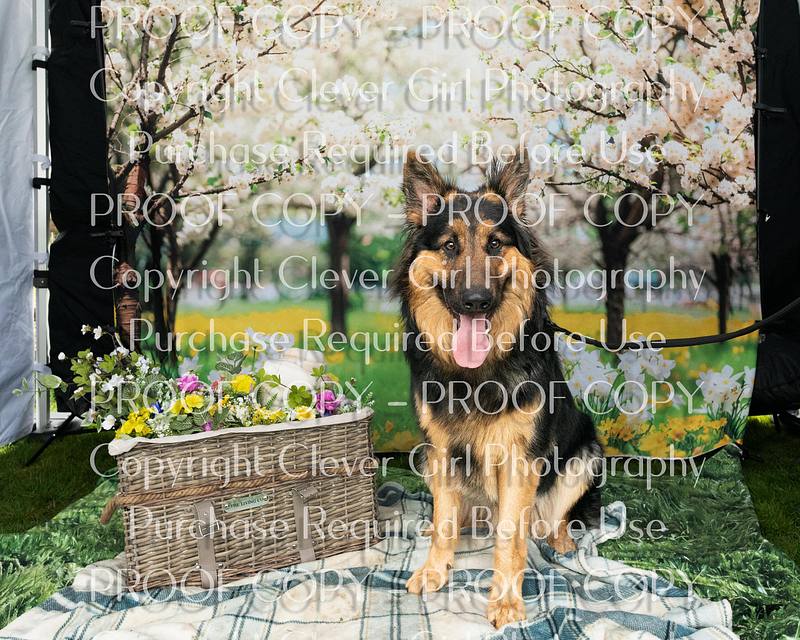 GSD Easter Meet 19-04-25