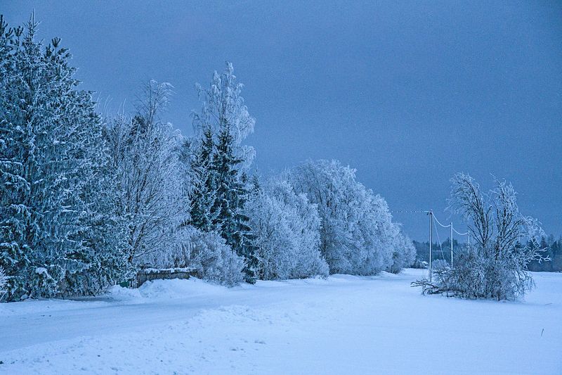 Härmas põhjamaine talvehommik.